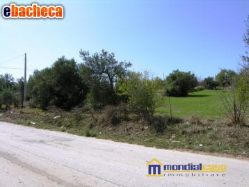 casa indipendente in vendita a Pachino