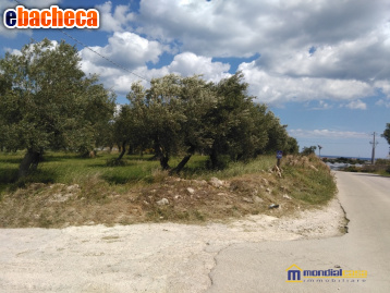 casa indipendente in vendita a Pachino in zona Marzamemi