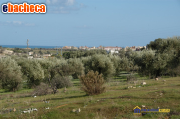 casa indipendente in vendita a Pachino