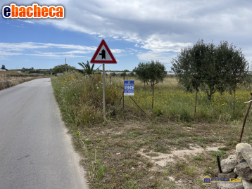 terreno agricolo in vendita a Pachino