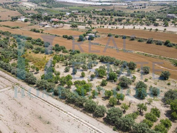 terreno agricolo in vendita a Pachino