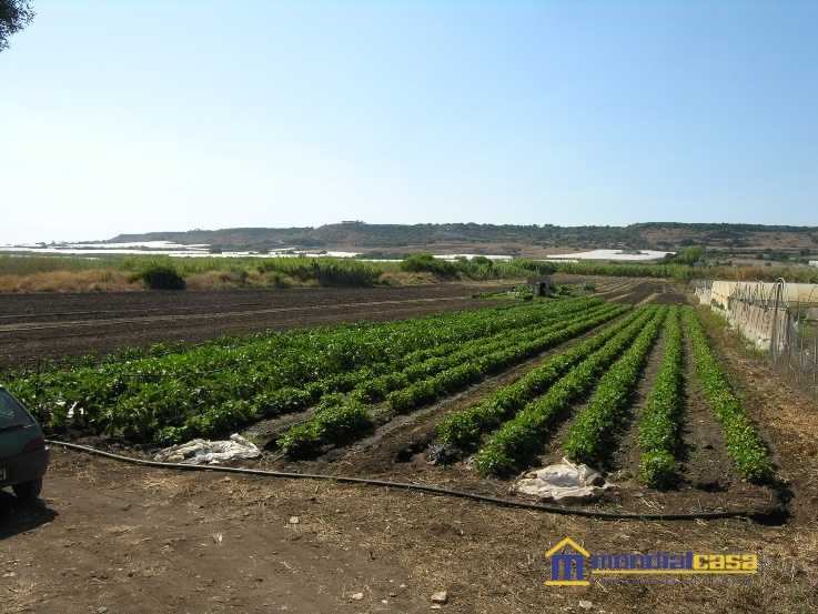 terreno agricolo in vendita a Pachino