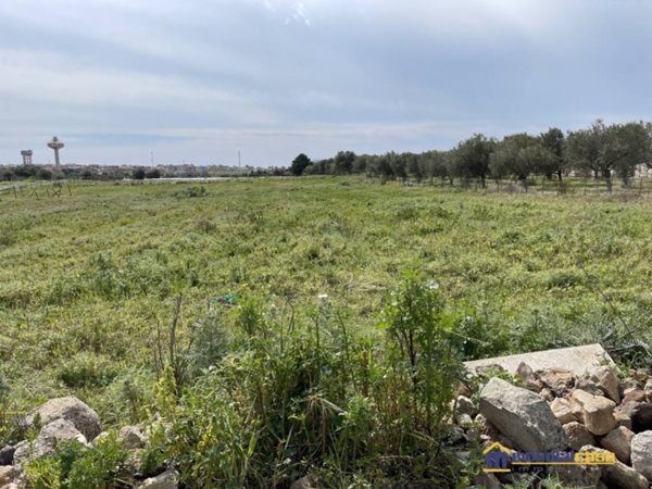terreno agricolo in vendita a Pachino