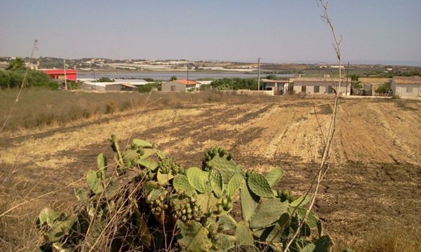 terreno agricolo in vendita a Pachino in zona Marzamemi