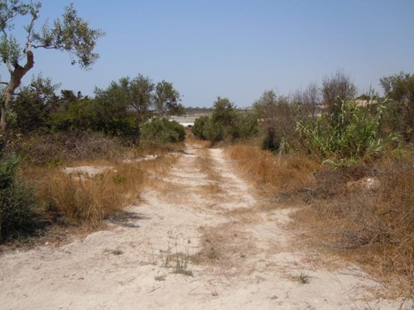 terreno agricolo in vendita a Pachino