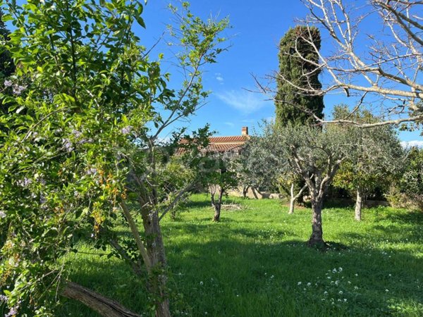 terreno agricolo in vendita a Pachino