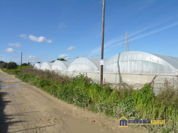 azienda agricola in vendita a Pachino