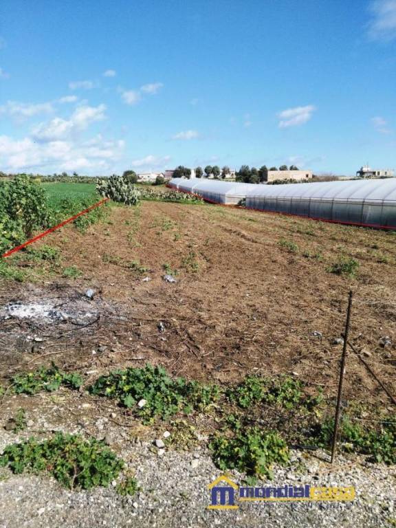 terreno agricolo in vendita a Pachino