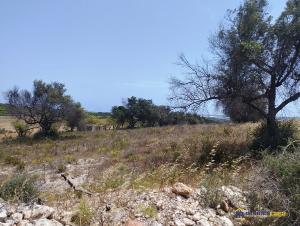 terreno agricolo in vendita a Pachino