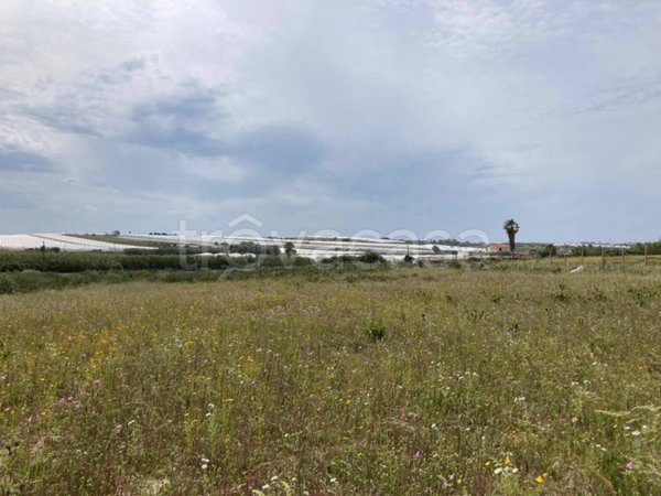 terreno agricolo in vendita a Pachino