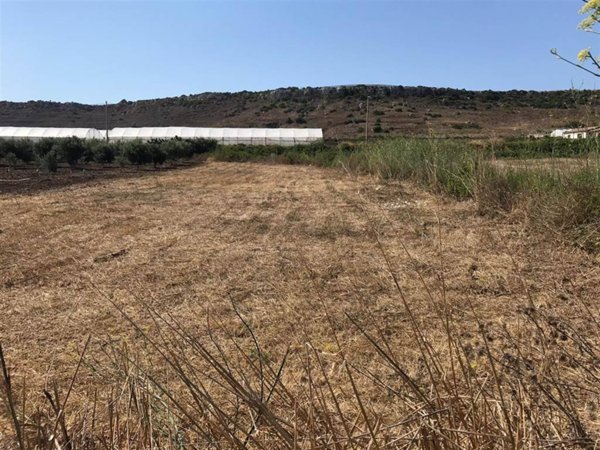 terreno agricolo in vendita a Pachino