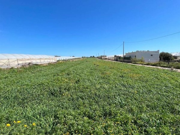 terreno agricolo in vendita a Pachino