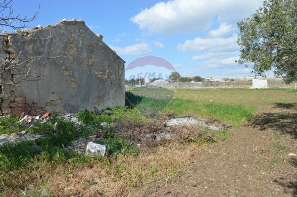 terreno agricolo in vendita a Pachino
