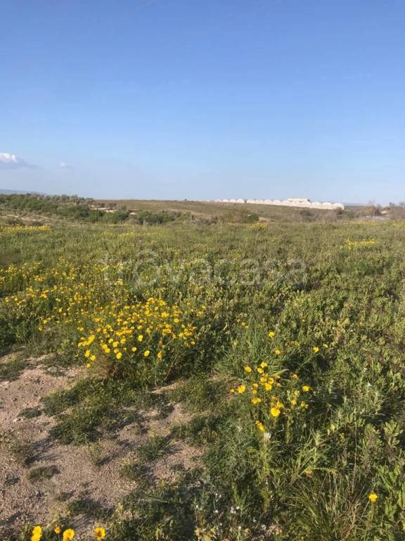 terreno agricolo in vendita a Pachino