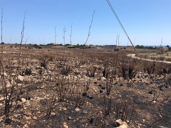 terreno agricolo in vendita a Pachino