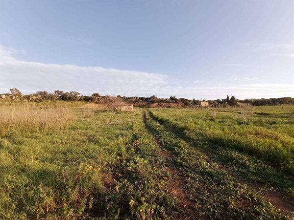 terreno agricolo in vendita a Pachino