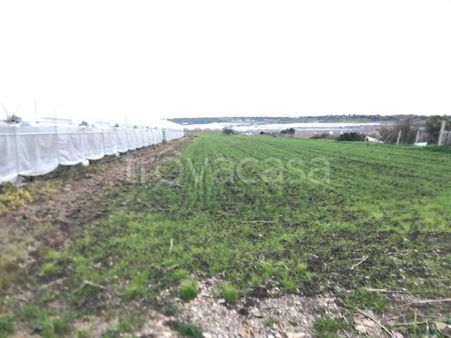 terreno agricolo in vendita a Pachino