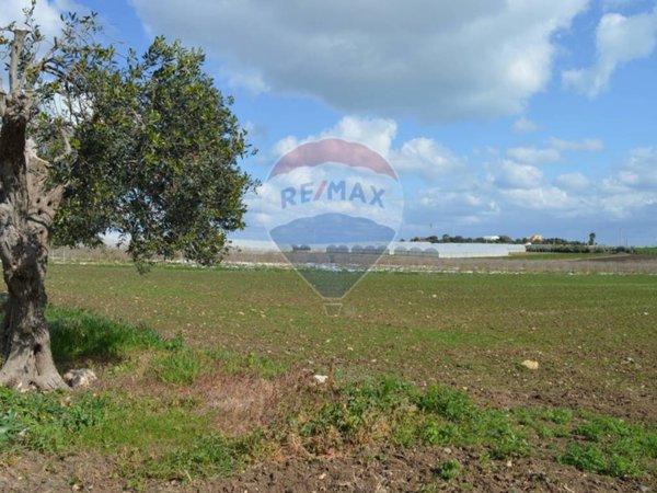 terreno agricolo in vendita a Pachino