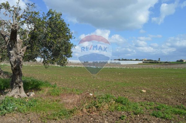 terreno agricolo in vendita a Pachino