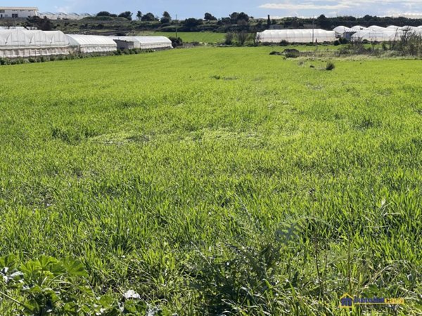terreno agricolo in vendita a Pachino