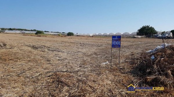 terreno agricolo in vendita a Pachino