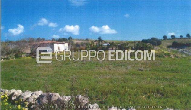 terreno agricolo in vendita a Pachino