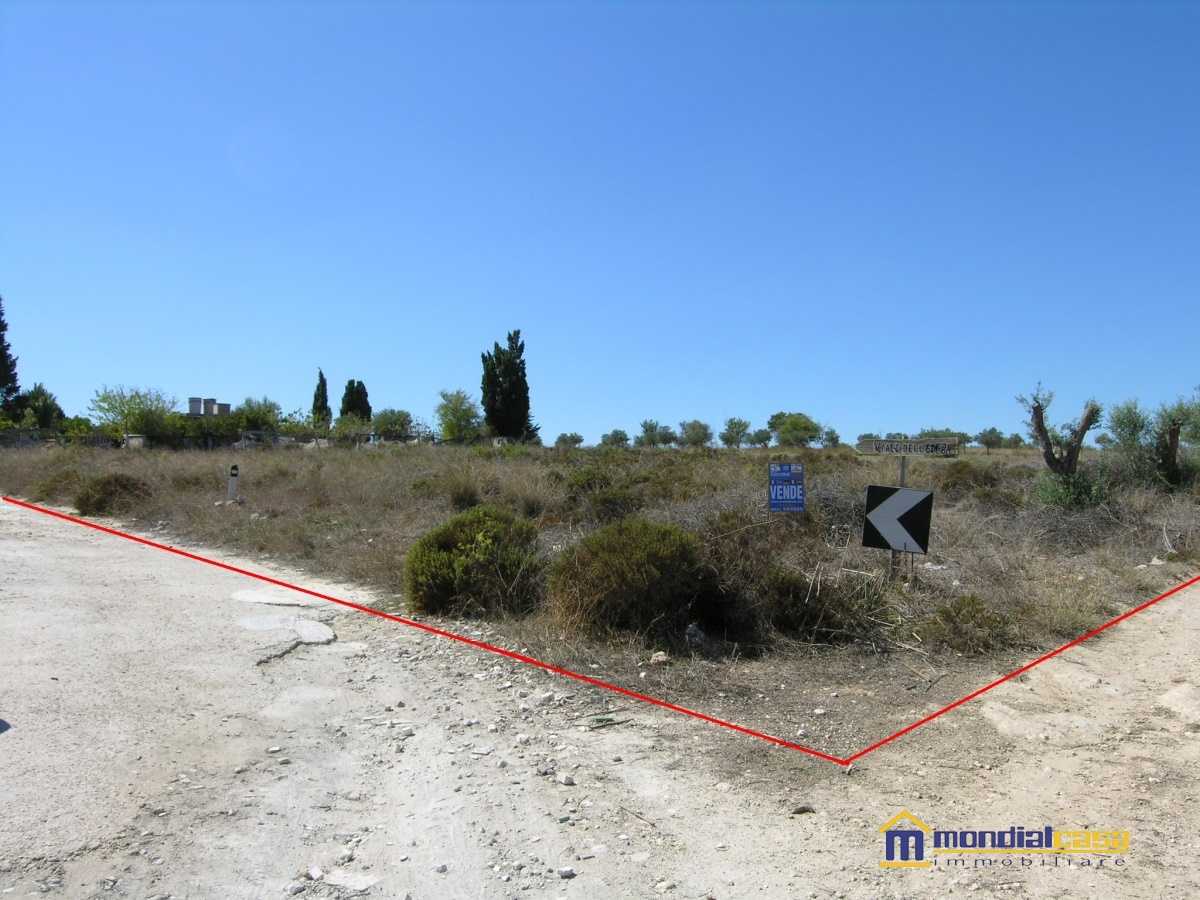 terreno agricolo in vendita a Pachino in zona Marzamemi