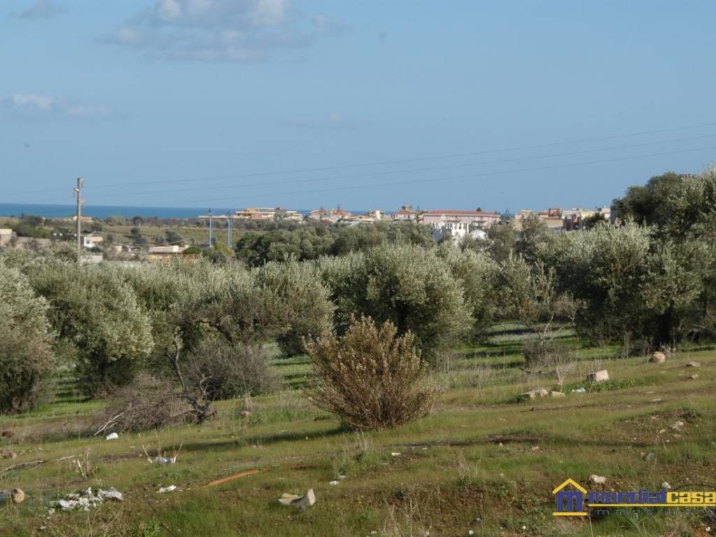 terreno agricolo in vendita a Pachino