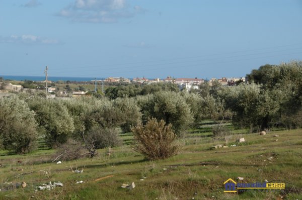 terreno agricolo in vendita a Pachino