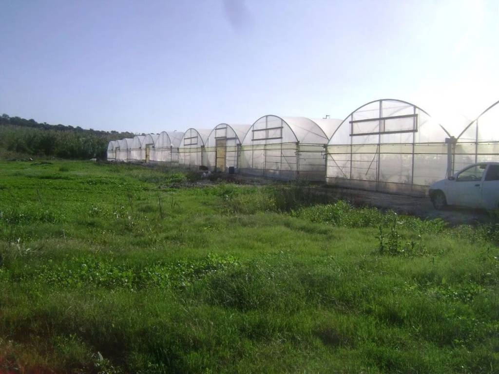 terreno agricolo in vendita a Pachino