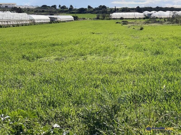 terreno agricolo in vendita a Pachino