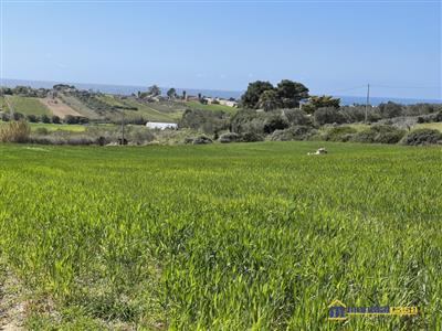 terreno agricolo in vendita a Pachino
