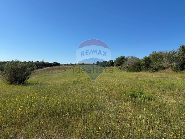 terreno agricolo in vendita a Pachino