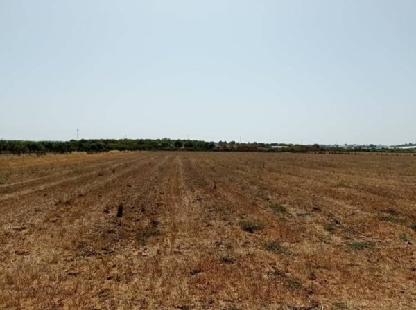terreno agricolo in vendita a Pachino