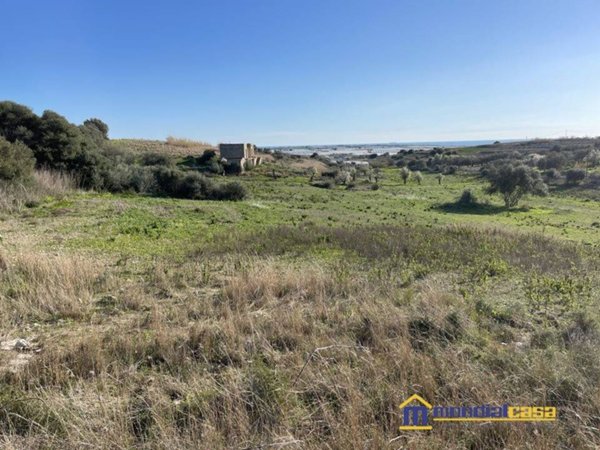terreno agricolo in vendita a Pachino