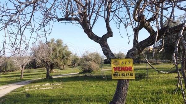 terreno agricolo in vendita a Pachino