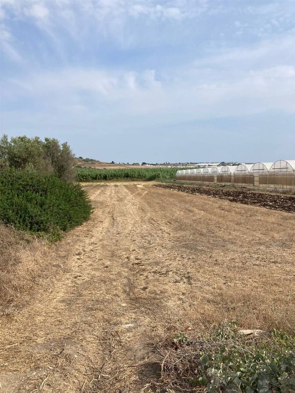 terreno agricolo in vendita a Pachino