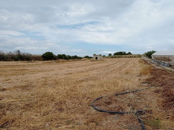 terreno agricolo in vendita a Pachino