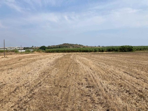 terreno agricolo in vendita a Pachino