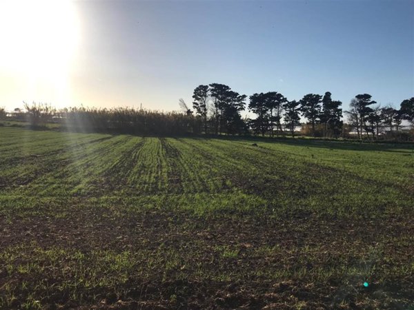 terreno agricolo in vendita a Pachino