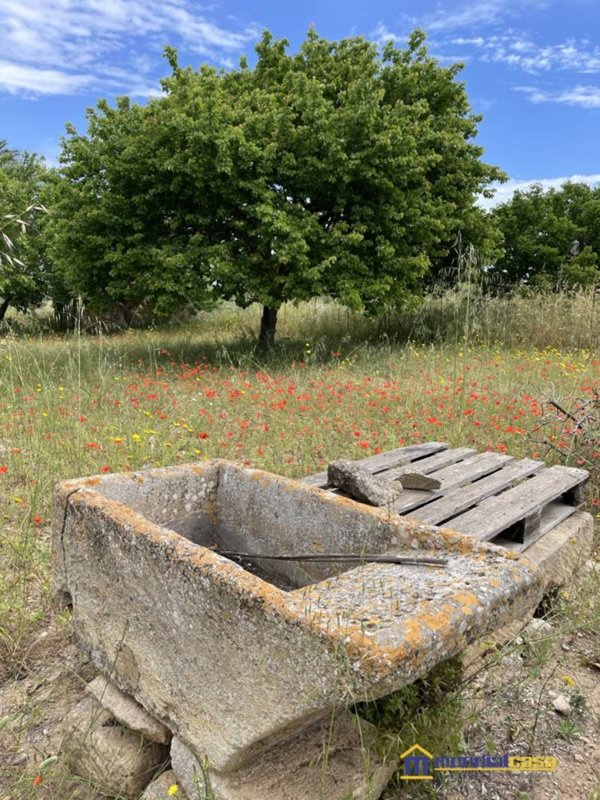terreno agricolo in vendita a Pachino