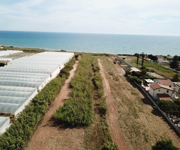 terreno agricolo in vendita a Pachino