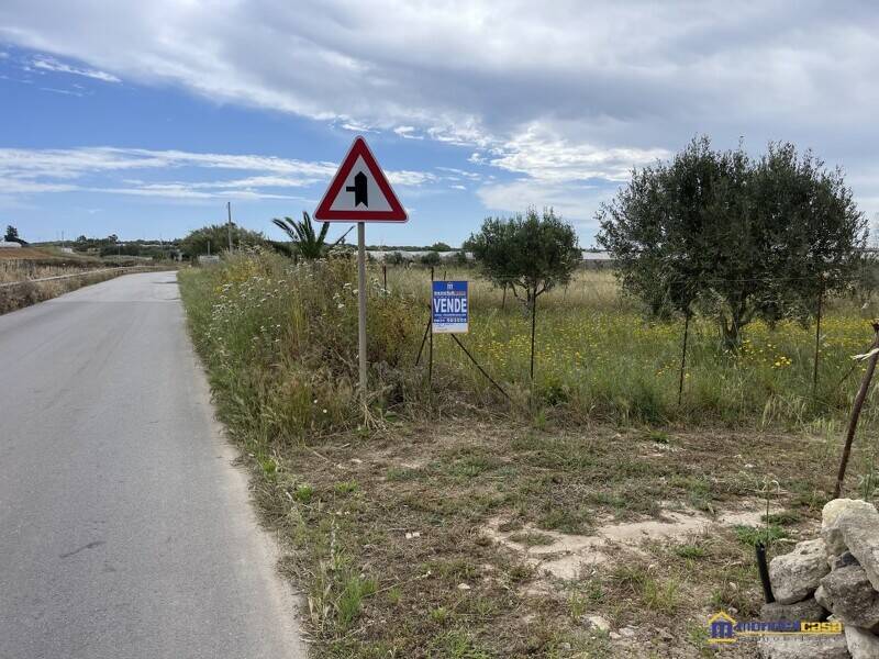 terreno agricolo in vendita a Pachino