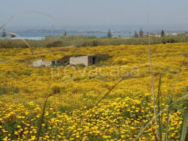 terreno agricolo in vendita a Pachino
