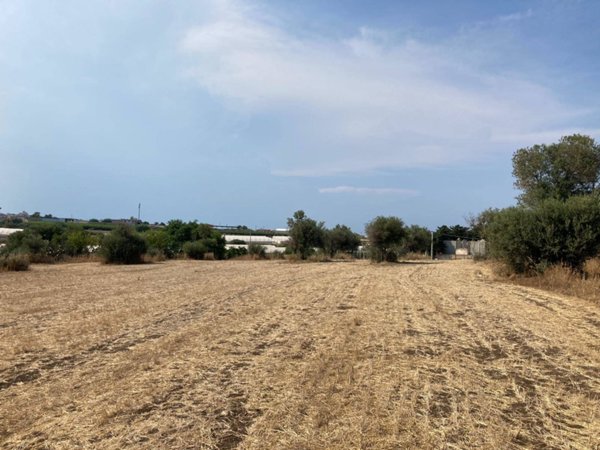 terreno agricolo in vendita a Pachino