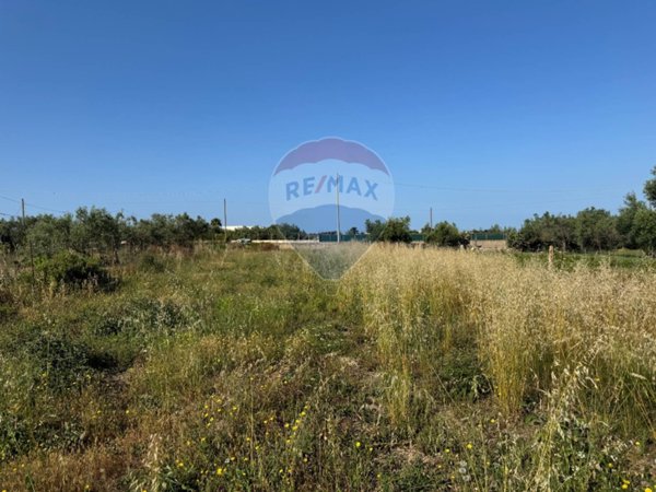 terreno agricolo in vendita a Pachino