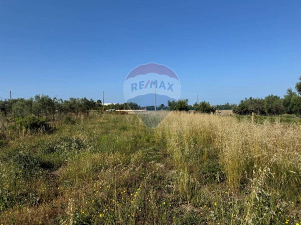terreno agricolo in vendita a Pachino