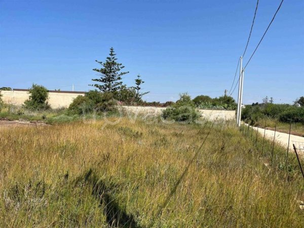 terreno agricolo in vendita a Pachino in zona Marzamemi