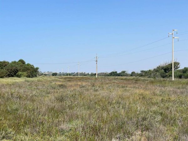 terreno agricolo in vendita a Pachino