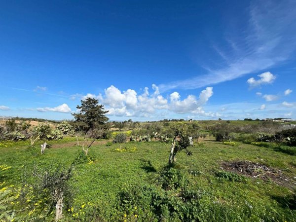 terreno agricolo in vendita a Pachino